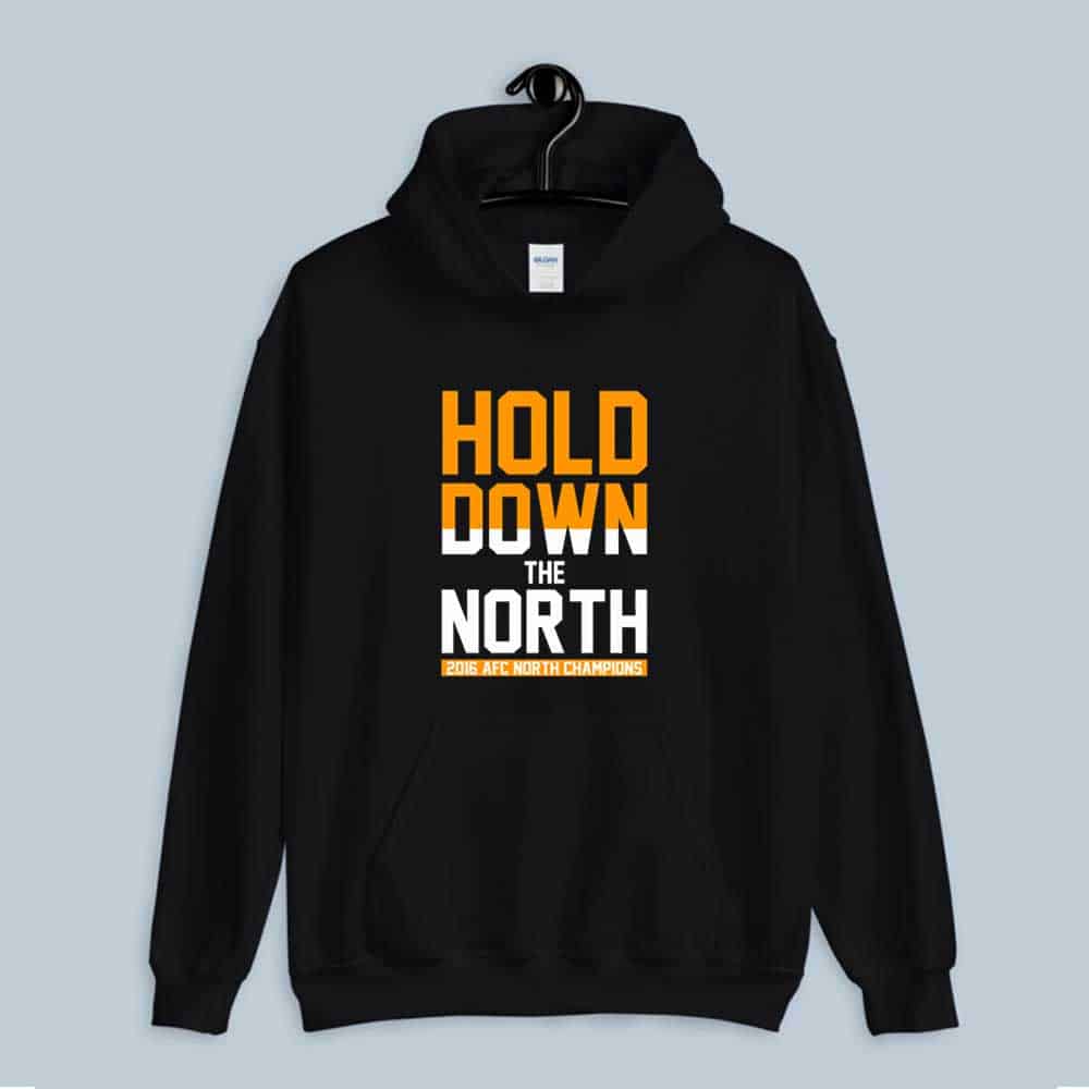Hoodie Hold Down The North 