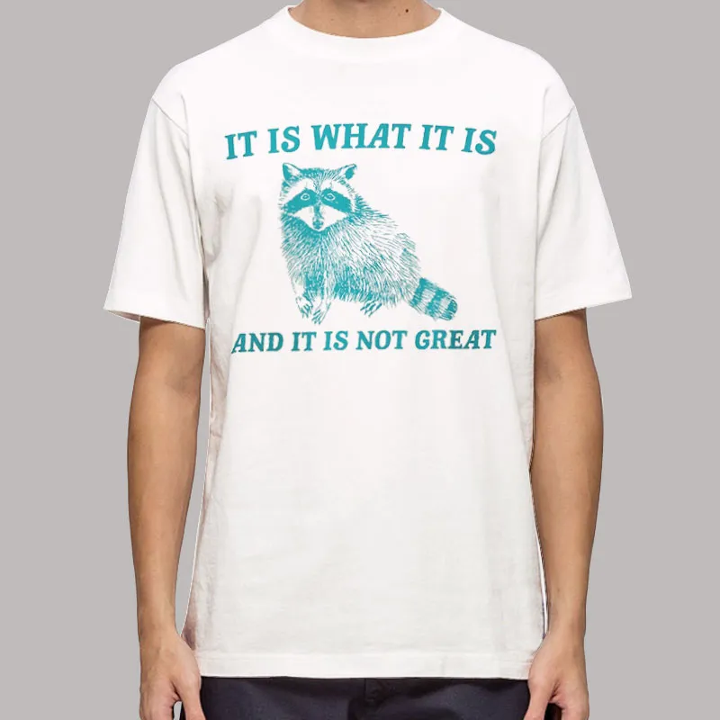 It Is What It Is And It Is Not Great Shirt
