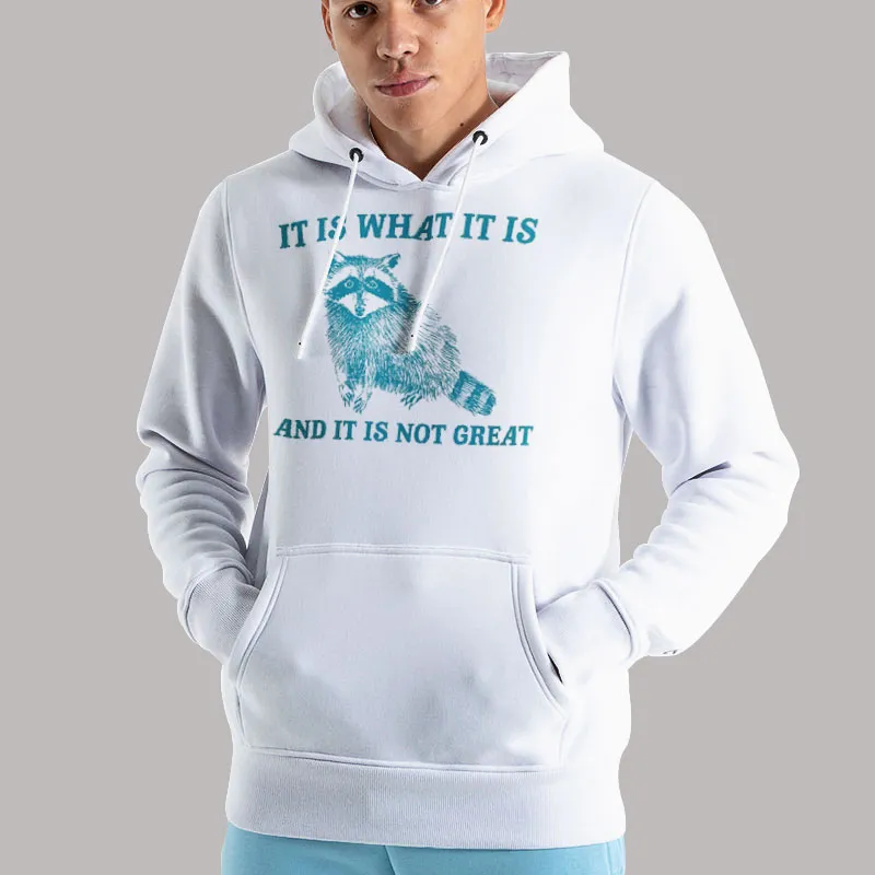 Unisex Hoodie White It Is What It Is And It Is Not Great Shirt
