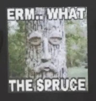Erm What The Spruce Funny Meme Shirt